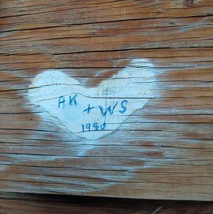 Meet your Posher, Anita warren